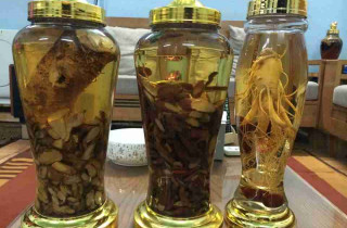 Dược liệu Ngọc cẩu, sâm cau và mã kích là những loại thảo dược  quý hiếm duoc-lieu-ngoc-cau-sam-cau-va-ma-kich-la-nhung-loai-thao-duoc-quy-hiem