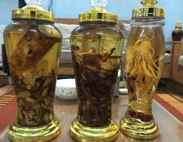 Dược liệu Ngọc cẩu, sâm cau và mã kích là những loại thảo dược  quý hiếm duoc-lieu-ngoc-cau-sam-cau-va-ma-kich-la-nhung-loai-thao-duoc-quy-hiem